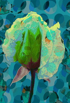 Картината върху платно Tea Rose 2