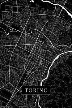 Картината върху платно Torino black