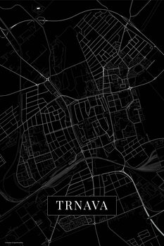 Картината върху платно Trnava black