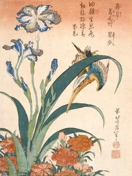 Poster Kingfisher