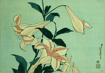 Poster Trumpet Lilies