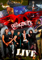 3D Αφίσα Aerosmith - live