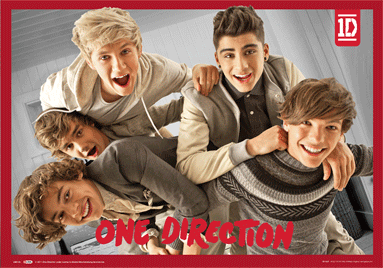 One Direction - band 3D Poster, 3D Print | EuroPosters