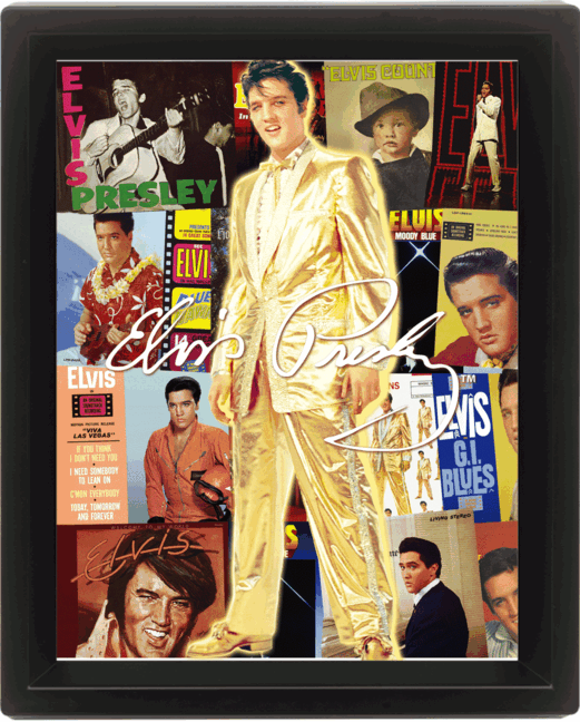 Πλαισιωμένη 3D αφίσα ELVIS PRESLEY - albums