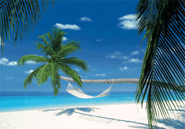 MALDIVES ISLAND - hammock - плакат (poster)