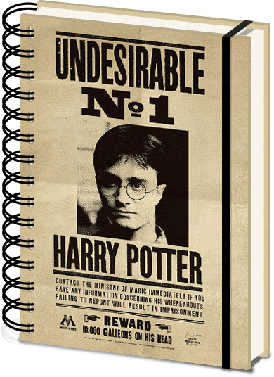 Notebook Harry Potter - Sirius & Harry 3D Cover