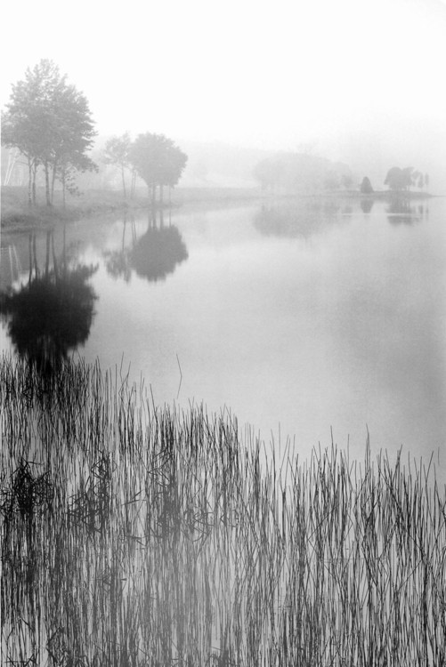 Umjetnički tisak Lakeside Mist