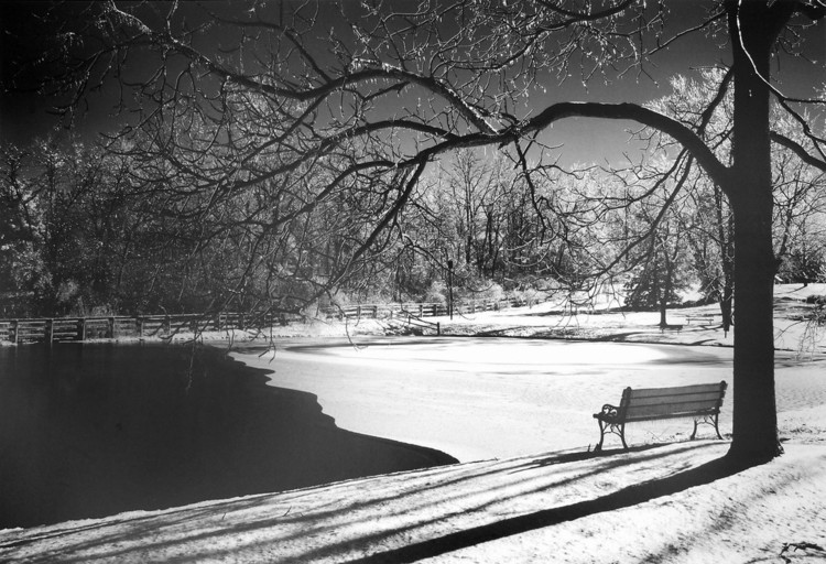 Art Print Heritage Pond in Winter