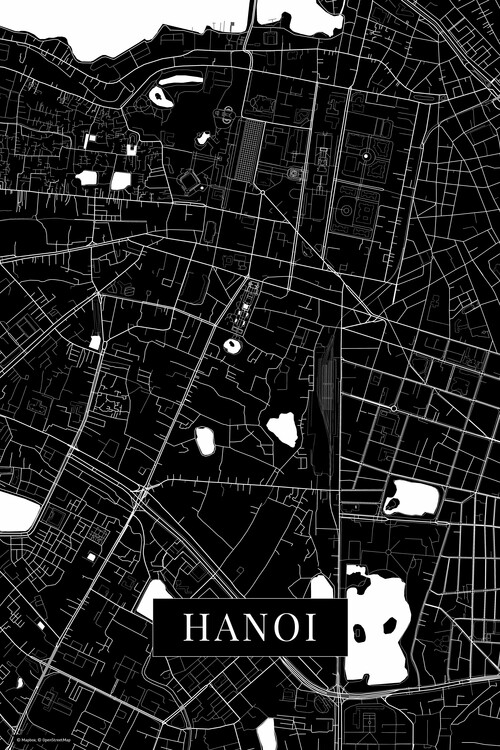 Принти на полотні Hanoi black