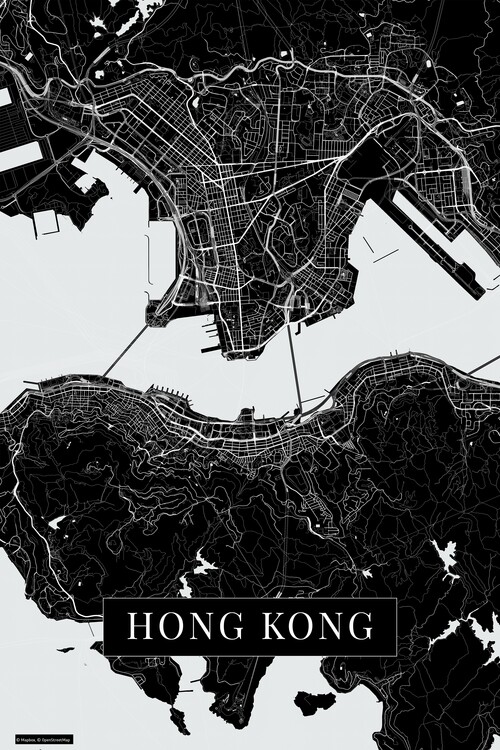 Принти на полотні Hong Kong black