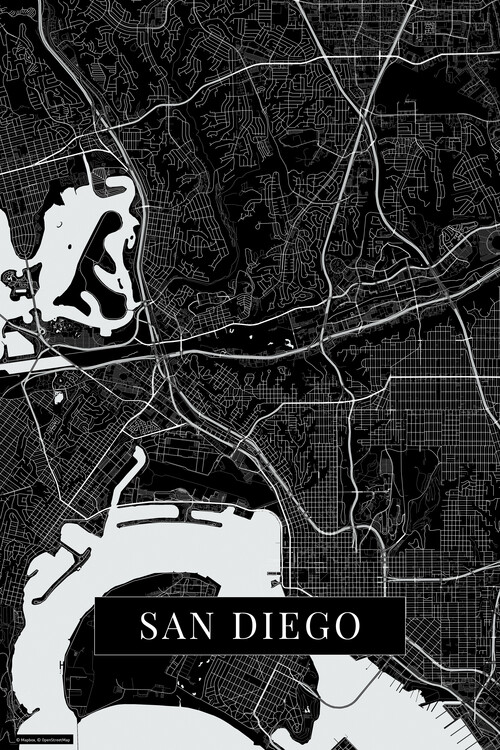 Плакат San Diego black