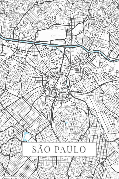 Принти на полотні Sao Paulo white