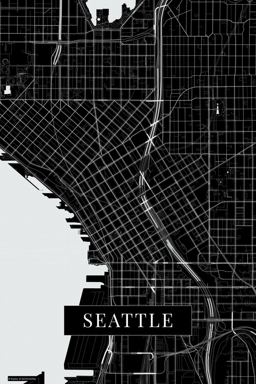 Poster Seattle black