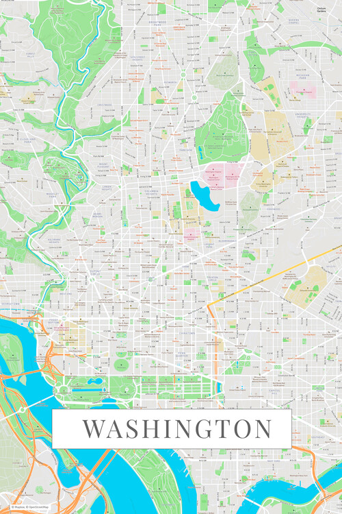Принти на полотні Washington color