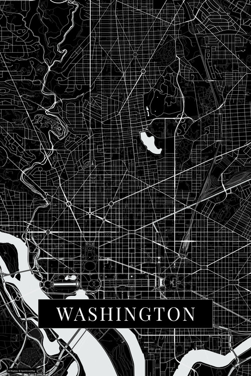 Poster Washington black