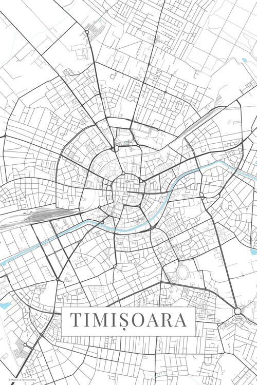 Poster Timisoara white