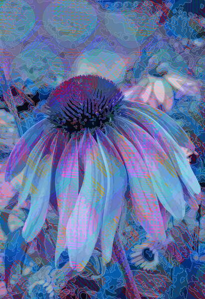 Плакат Cone Flower