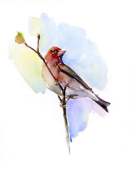 Плакат Purple finch, 2016,