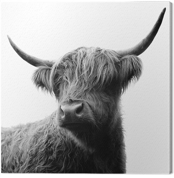 Canvas Print Ian Winstanley - Fergus