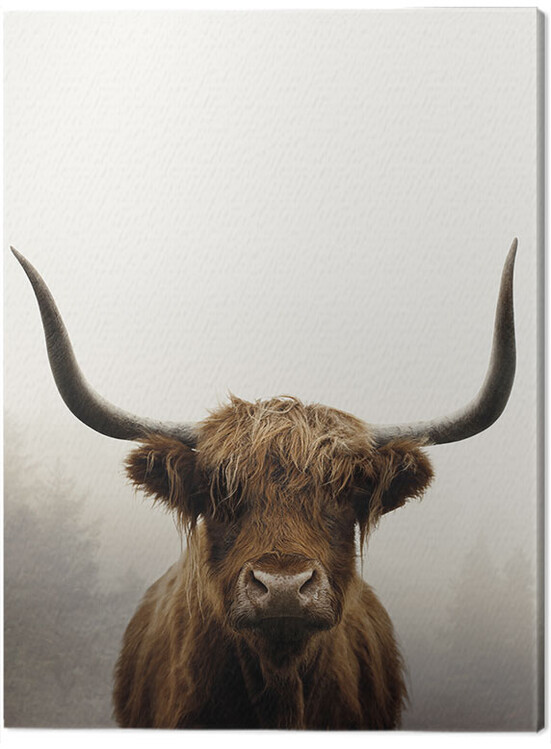 Quadro em tela Ian Winstanley - Douglas