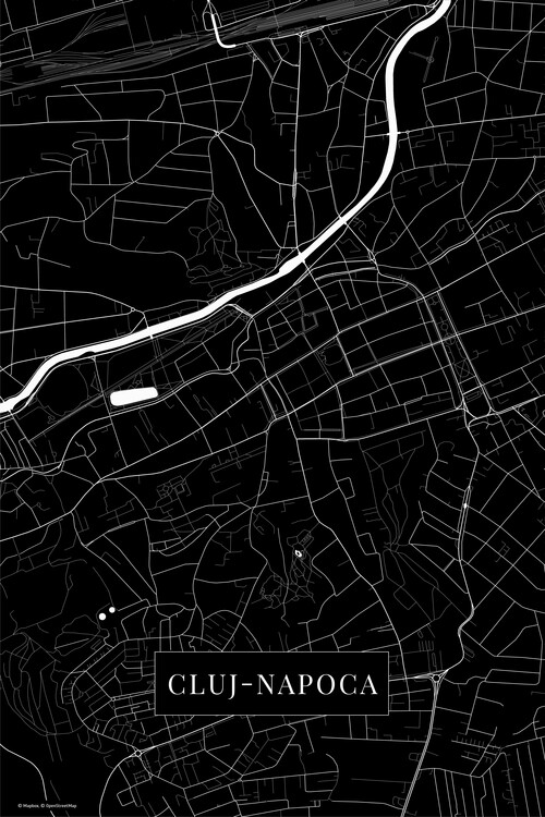 Плакат Cluj Napoca black