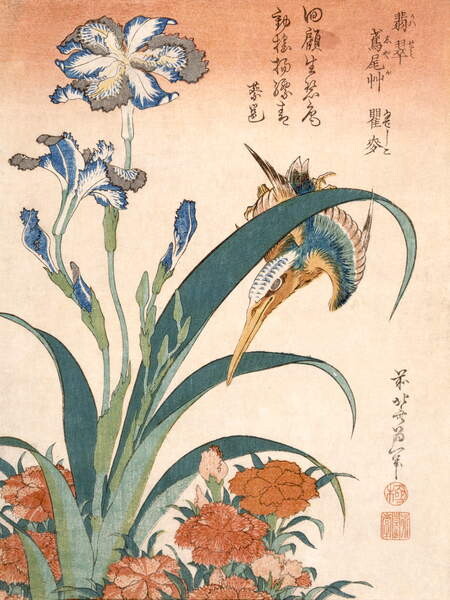 Poster Kingfisher