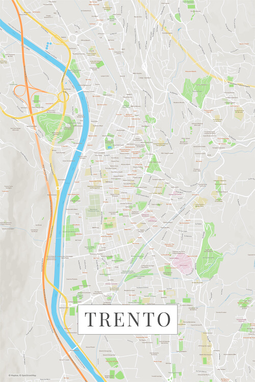 Принти на полотні Trento color