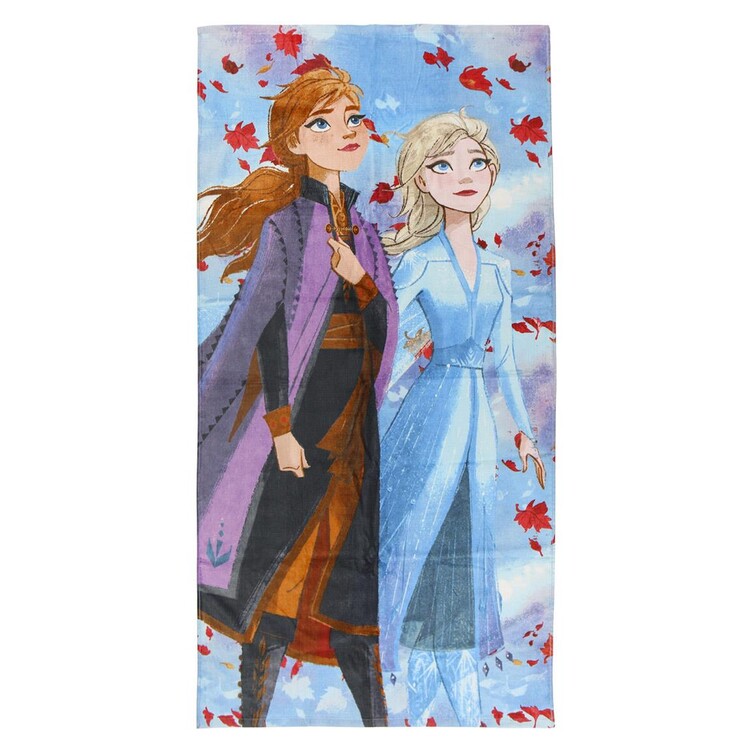 Oblačila Brisačo Frozen 2