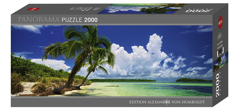 Puzzle Paradise Palm