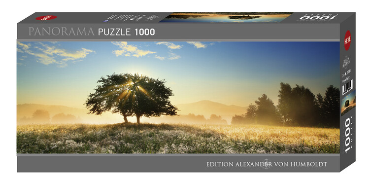 Puzzle Play of Light