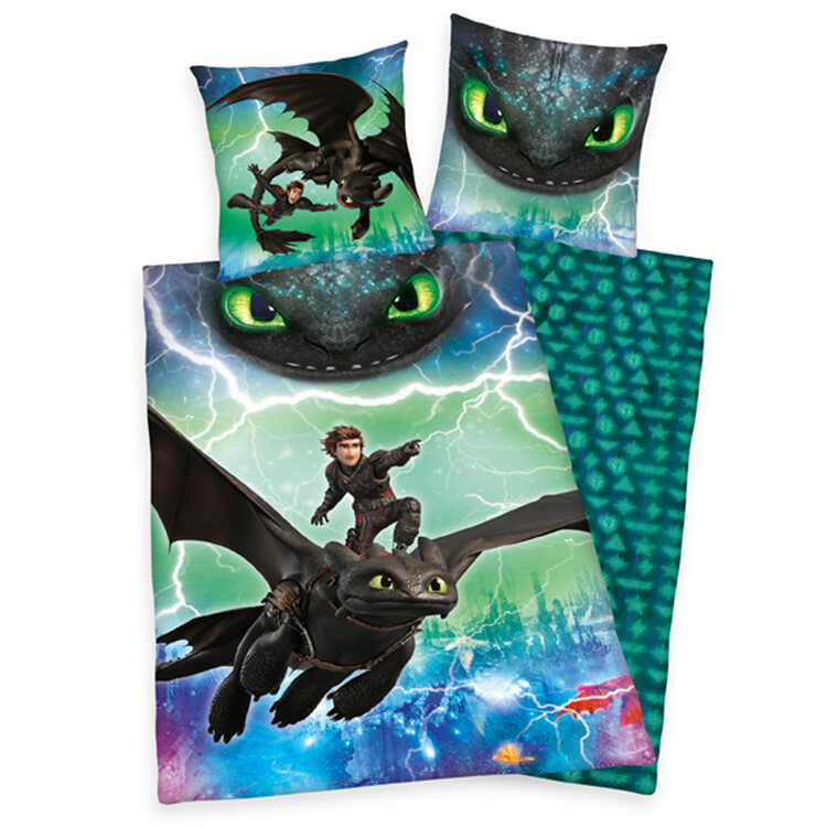 Bed sheets How To Train Your Dragon