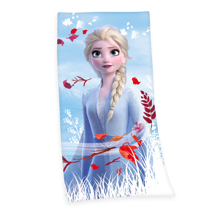 Oblačila Brisačo Frozen 2