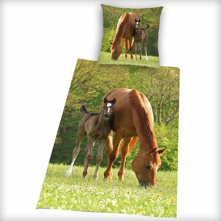 Σεντόνια The Mare with Foal