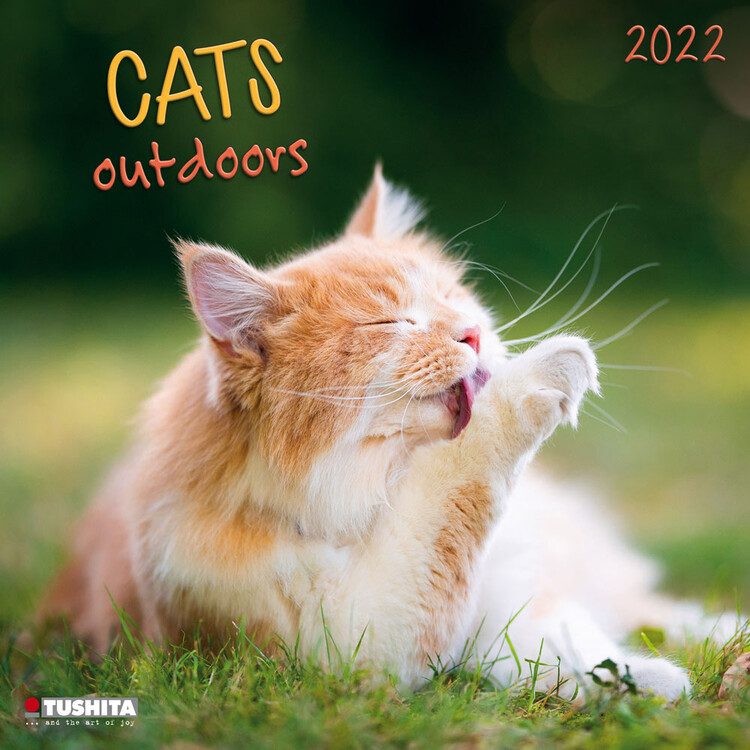 Ημερολόγιο 2027 Cats Outdoors