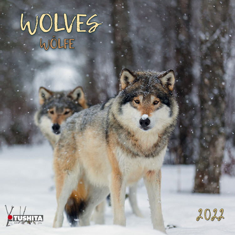Koledar 2027 Wolves
