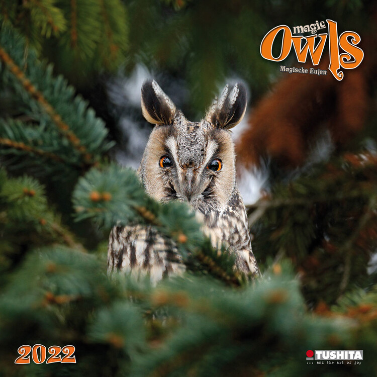 Kalenteri 2027 Magic Owls
