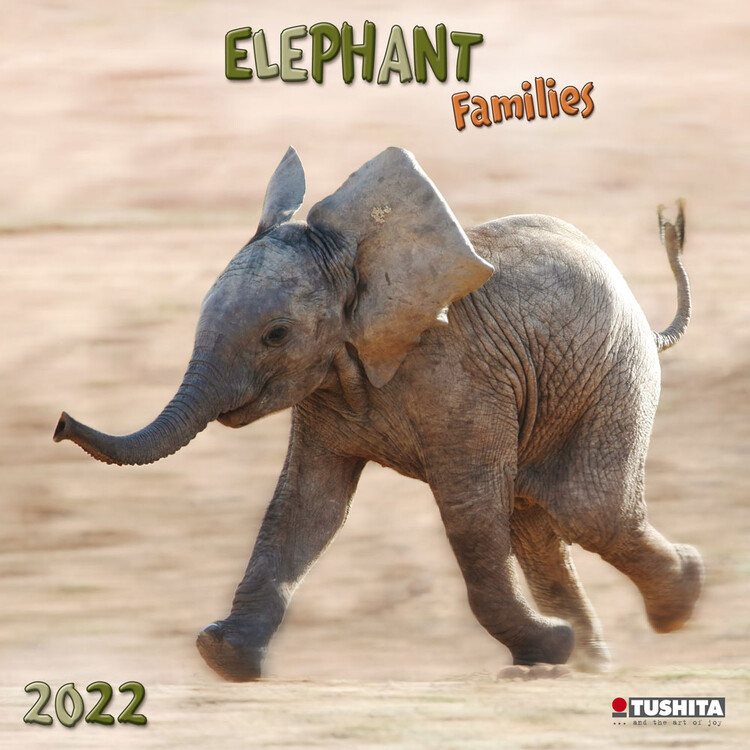 Ημερολόγιο 2027 Elephant Families