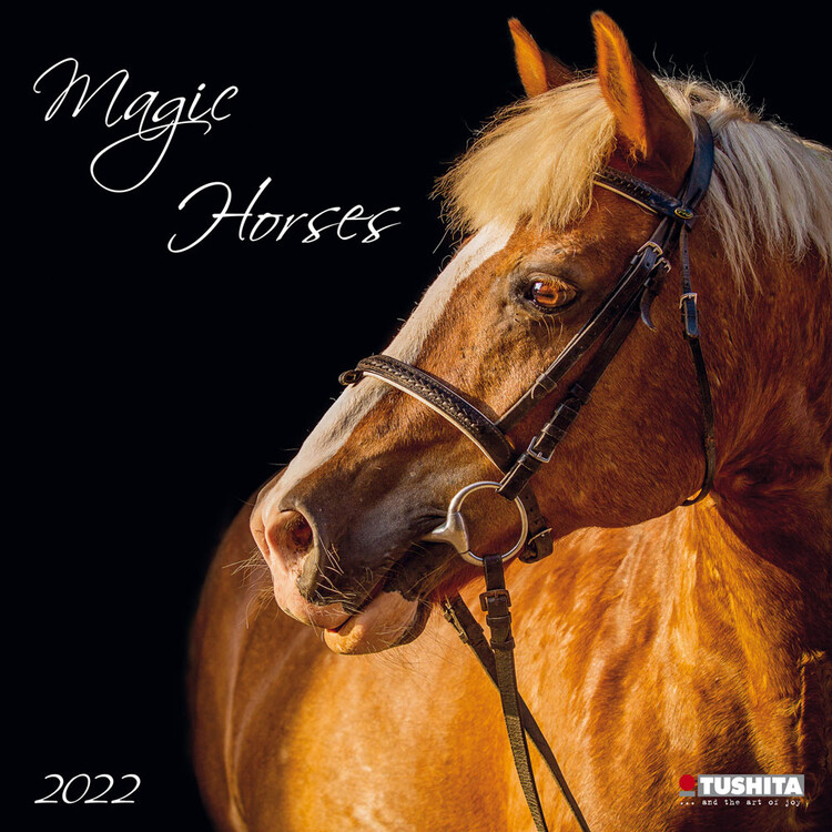 Calendário 2027 Magic Horses