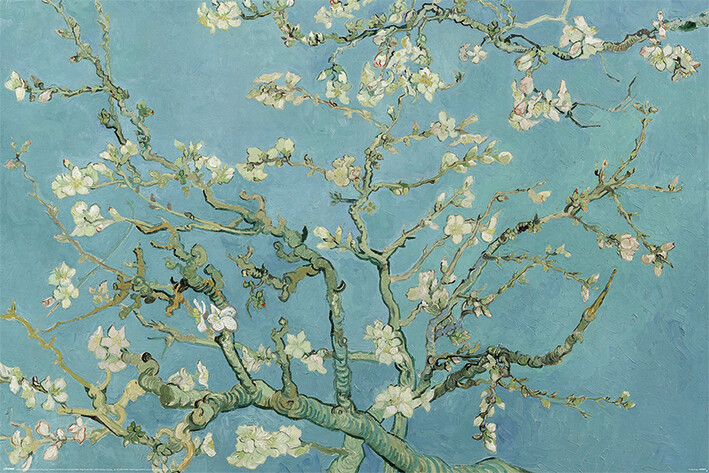Плакат Vincent van Gogh - Almond Blossoms