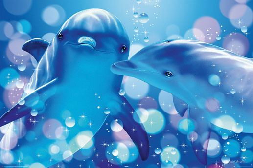 Poster Christian R. Lassen - kissing dolphins | Wall Art | 3+1