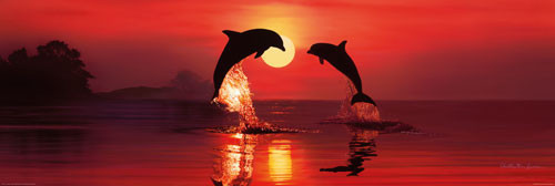Плакат CHRISTIAN R.LASSEN - dolphin dawn