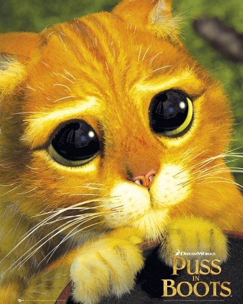 Плакат PUSS IN BOOTS - cats eyes
