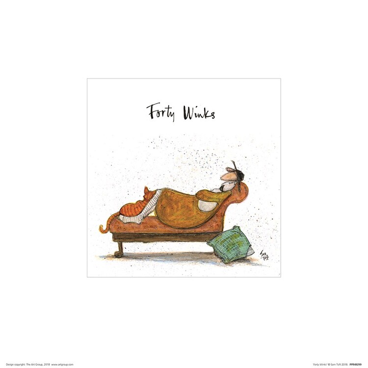 Sam Toft - Forty Winks Картина