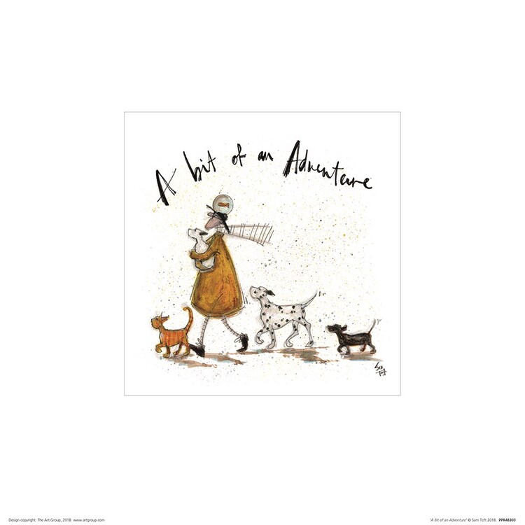 Sam Toft - A Bit of an Adventure Картина