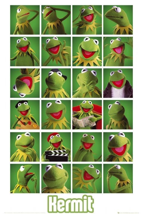 Плакат MUPPETS - kermit collage