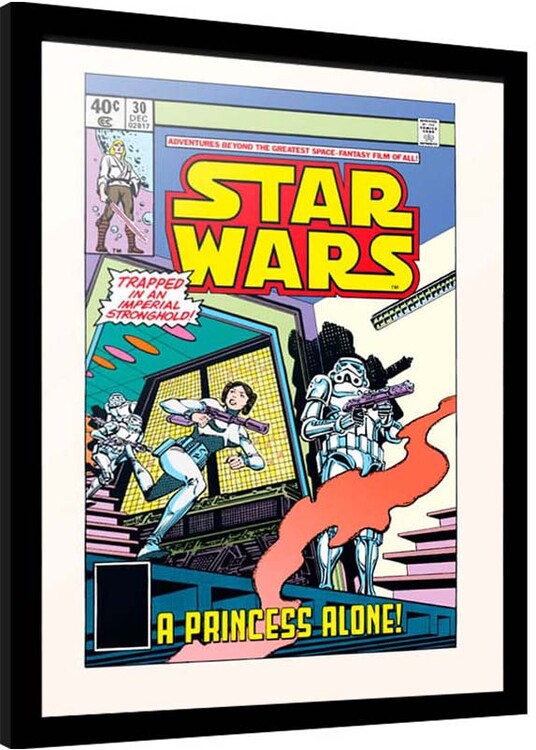 Kehystetty juliste Star Wars - Princess Alone