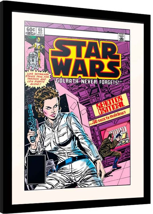 Poster emoldurado Star Wars - Golrath Never Forgets
