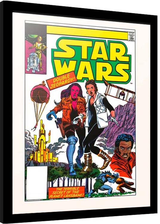 Poster emoldurado Star Wars - Lashbane