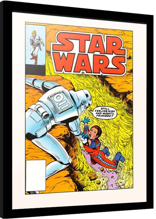 Framed Poster Star Wars - The Alderan Factor
