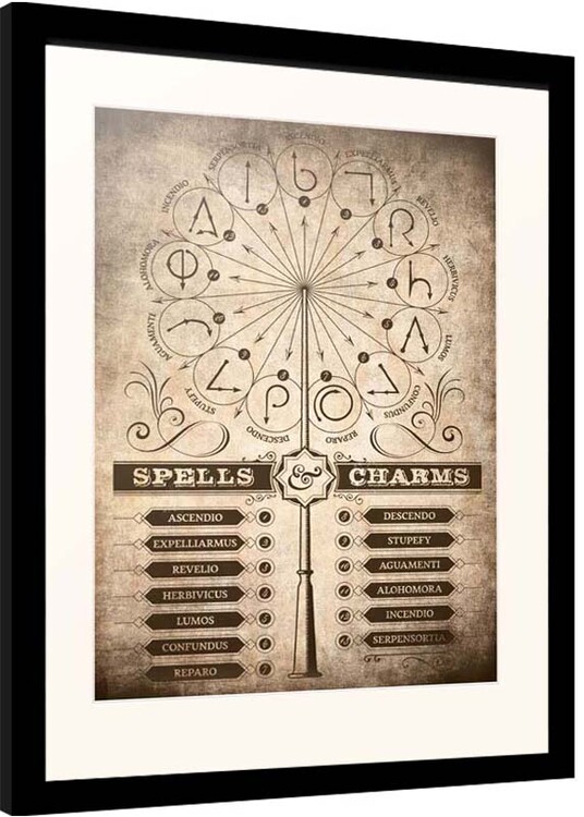 Κορνιζαρισμένη αφίσα Harry Potter - Spells and Charms